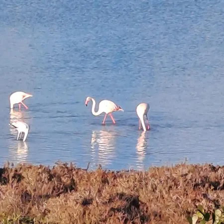 Il Melo D'oro * San Pietro in Bevagna